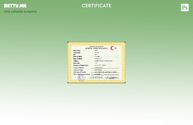 Модерен стил шаблон за PSD извод од Турција за извод од матичната книга на роден